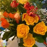Orange Roseの画像