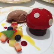 きのこの画像