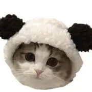 ミルクの画像