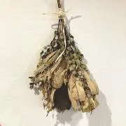 pi-paの画像