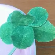 かぼちゃんの画像
