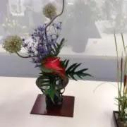 ルル  当日か翌日発送します♪の画像