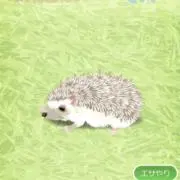 ぴろぴろの画像