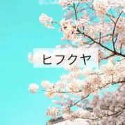 ヒフクヤ　⭐︎即購入OKの画像