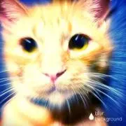 ユウ