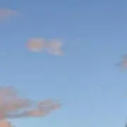 みるの画像