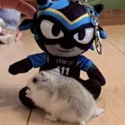 ひなの画像