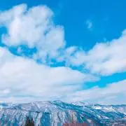 さく