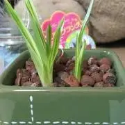 【年末お片付けつき出品】まろ(古着好き)の画像