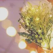 yの画像