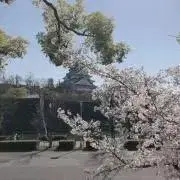 ゆうきの画像