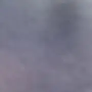 いちごの画像