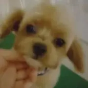 まろにーの画像