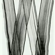 KOT