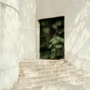 mikazukiの画像