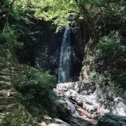 りはく