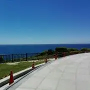 ウォキドォキの画像