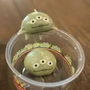 ゆきの画像