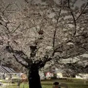 チャーハンの画像