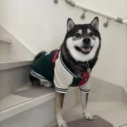 ナオキの画像