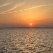 Victorの画像