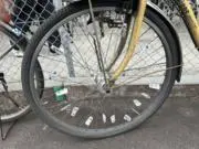 kawa