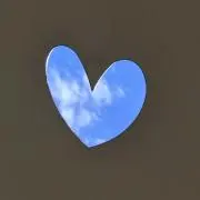 co_co