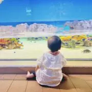りのの画像