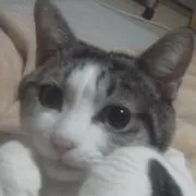 れいありお ※プロフ必読願います※の画像