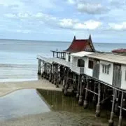 Image of MABUチャン　即日発送可