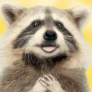 アライグマの画像