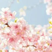 まなん