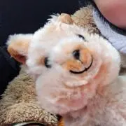 しゅの画像