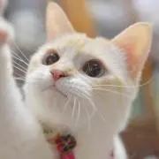 りの画像