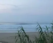 ckcの画像