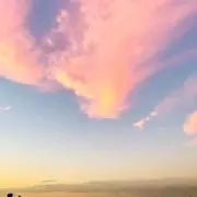 unya3の画像