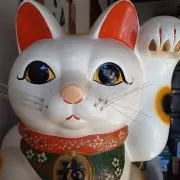 ミスターTの画像