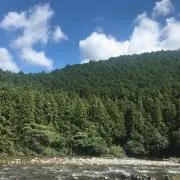 はらはら