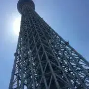ぴろころの画像