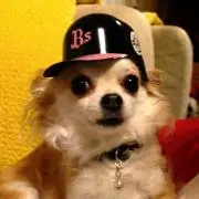 みやん
