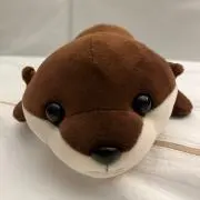 ひよこの画像