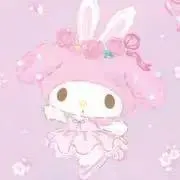たぬききの画像