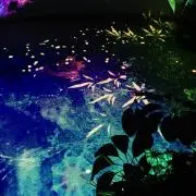 東条の画像