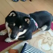 勇魚☆即購入OKです☆の画像