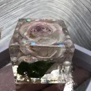 MRの画像