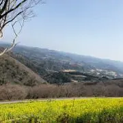 よし