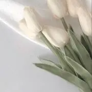 ︎✿の画像