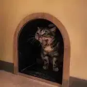 @mrmoの画像