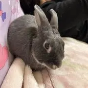 H.Tの画像