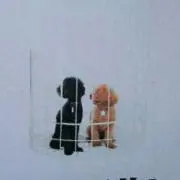 ちいの画像